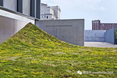 美國圣路易斯當代藝術博物館green varnish景觀藝術裝置